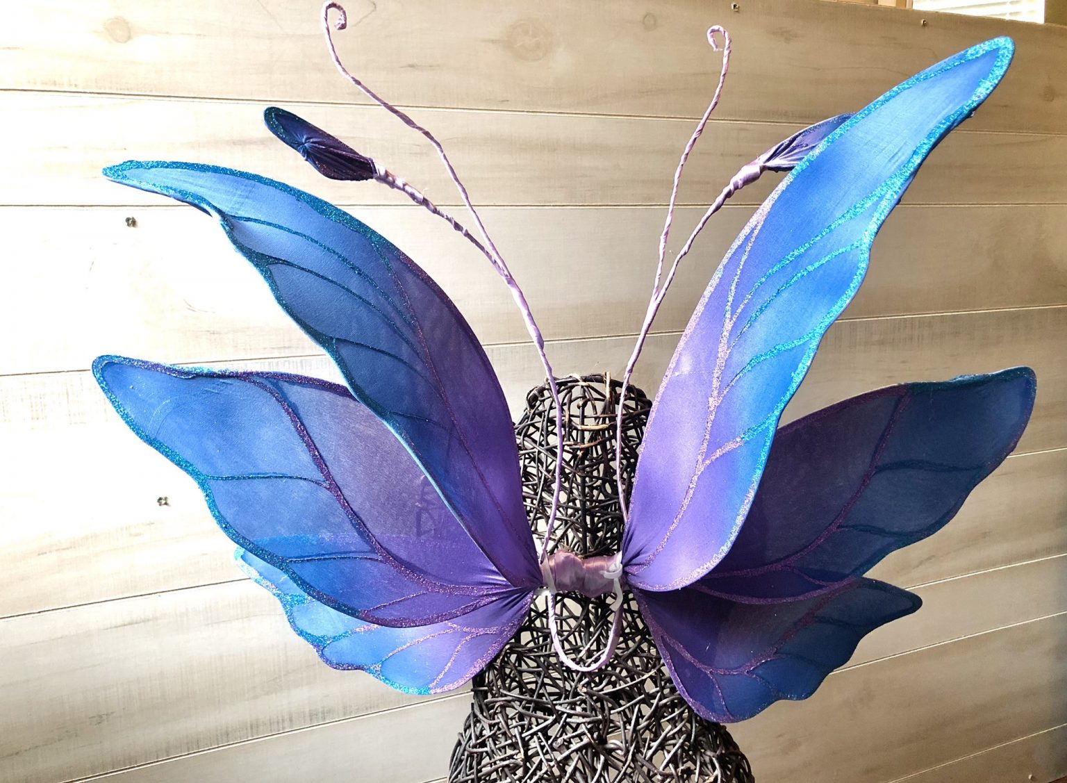 Fairy Wings – Fairytales & Dragon Scales